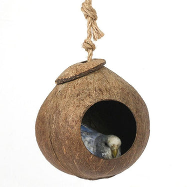 Nid pour oiseau exotique